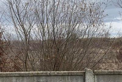 RECO vindem teren intravilan in Suncuius - 2