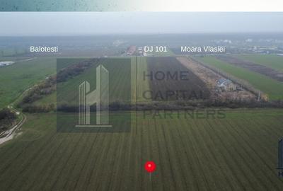 Teren de 10000 mp, în Căciulați