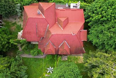 Casa de exceptie Campina Casa de exceptie Campina - 3