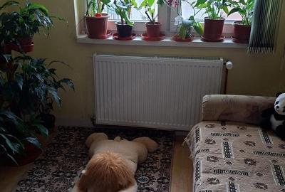 Apartament cu 3 camere decomandat în Central - 4