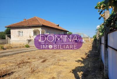 Casa cu teren impresionant in Targu Jiu - 3