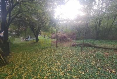 Casă cu 3 camere cu Teren 3410 Mp în Aluniș - 8