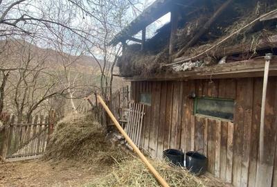 Spațiu comercial, în Mânzălești - 4