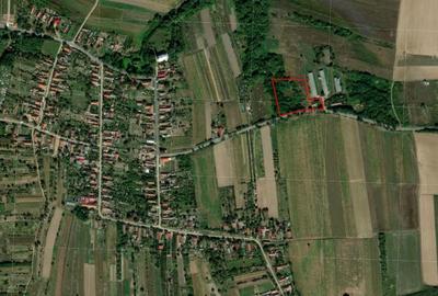 Teren de 8600 mp, în Cetariu