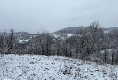Spațiu comercial, în Provița de Jos - 10