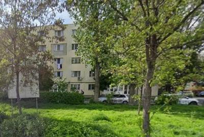 SI pentru parinti de animale decmpanie - garsoniera Podu ros -mATHAUS