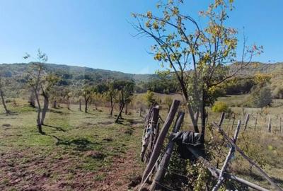 Teren de 7382 mp, în Central - 11