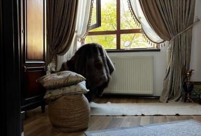 Apartament 3 camere. Piata unirii. Zona Centrala. Etaj intermediar - 3