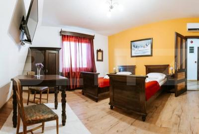Conac de vanzare 7 camere cu bai proprii, crama, ciubar si potential - 13