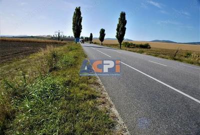 Teren iesire din Nicolae Balcescu, la 200ml de E85 Bacau - 3