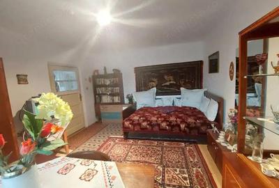 Casa batraneasca bine intretinuta in Bahna - 5