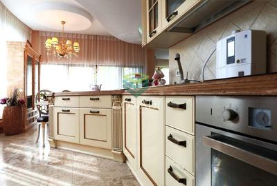 Iancu Nicolae, vila cu 5 camere de vanzare, 356 mp construiti - 9