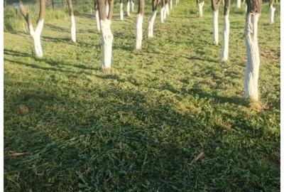 Casă cu 3 camere în Mihăești - 1