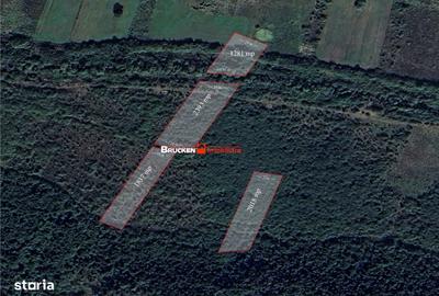 Teren de 23400 mp, în Husasău de Tinca - 4