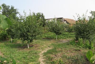 Casa - Vladimirescu, pe soseaua principala - 5