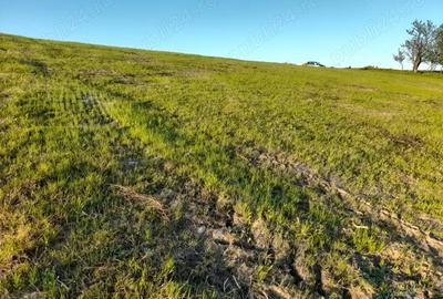 Teren de 9400 mp, în Remetea Chioarului - 9