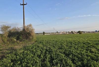 Teren de 5683 mp, în Sânmartin - 3