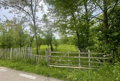 Teren Construcții intravilan de 6762 mp, în Șotrile - 4