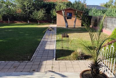 Casă individuală cu 4 camere cu Teren 955 Mp în Băicoi - 3