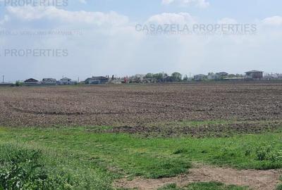 Teren extravilan 2.410 mp - Darza, Dambovita - 2