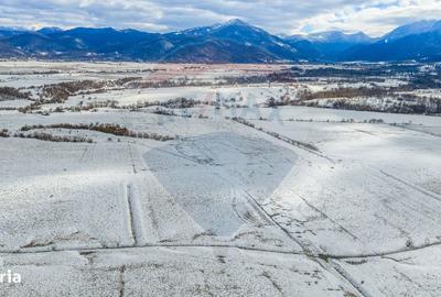 Teren de 8329 mp, în Central - 2