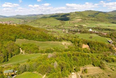Teren agricol extravilan de 11306 mp, în Malnaș-Băi - 6