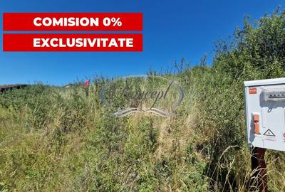 Teren cu proiect de casa in Chinteni - 7