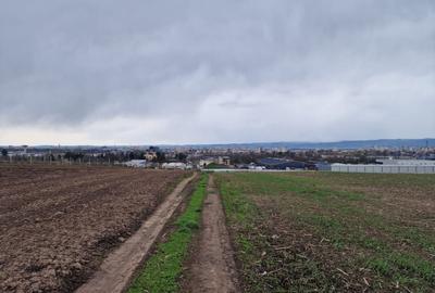 Teren agricol intravilan de 10000 mp, în Vest - 7