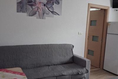 Apartament cu 2 camere nedecomandat în Central - 2