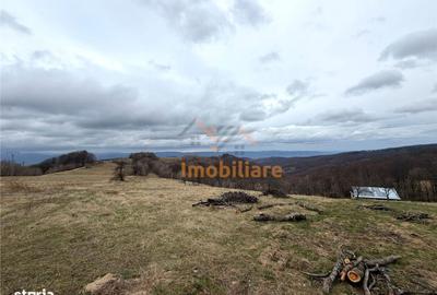 Spațiu comercial, în Șerani - 3