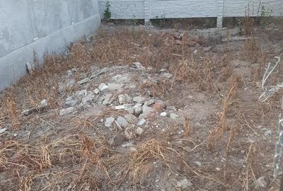 Vand casa com teslui sat deleni - 2