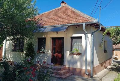 Casă cu 4 camere în Coman - 9