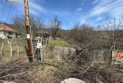 Teren de 11400 mp, în Apahida - 9