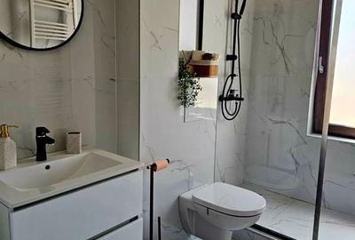 Apartament superb cu 2 camere si curte | Dumbravita - 4