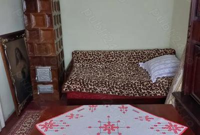 Vand Casa in Anina - 5