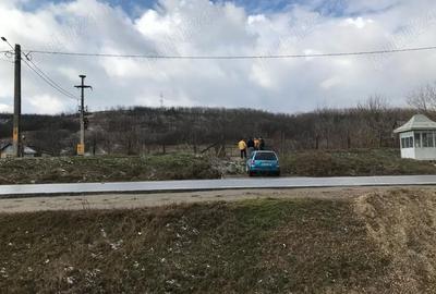 Teren de 4209 mp, în Strâmtura-Mitoc - 3