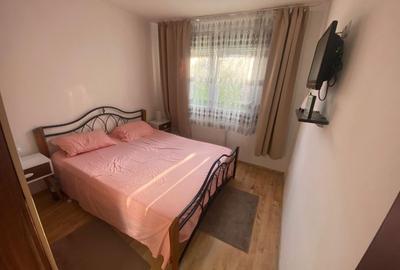 Apartament cu 2 camere semidecomandat în Păulești - 5