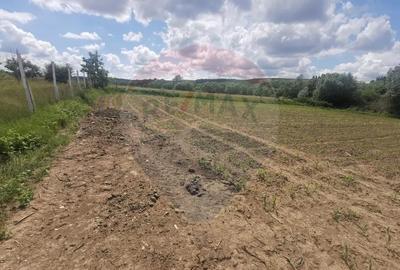 Teren de 1250 mp, în Șomcuta Mare - 1