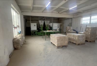 Spațiu industrial, de 630 mp, în Vetiș - 3