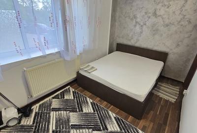 Apartament cu 2 camere decomandat în Făget - 8