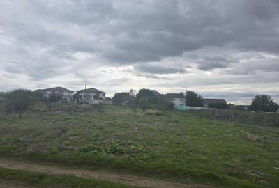 Teren Construcții intravilan de 400 mp, în Palazu Mare - 6