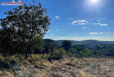 Teren de localitatea Telita-judetul Tulcea - 5