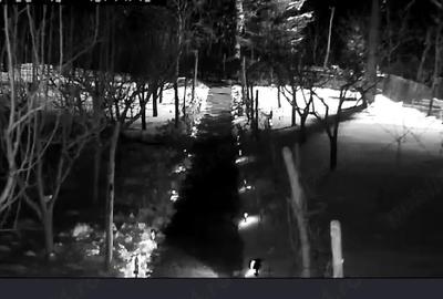 Casă cu 3 camere cu Teren 1650 Mp în Racovițeni - 2