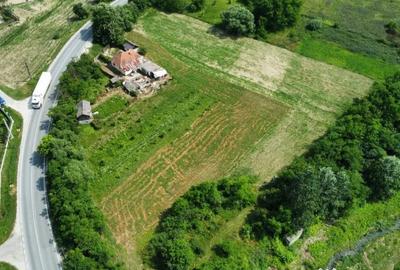 Teren de 10176 mp, în Mihăești - 6