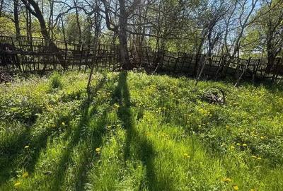 Casă cu 3 camere în Teiu - 7