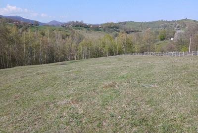 Teren de 6000 mp, în Purcăreți