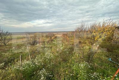 Casa cu 4 camere de vanzare | Zona Ardud | - 16