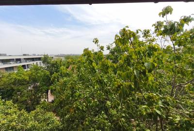 Pipera in apropiere de Gradina Zoo și Jollie Ville. - 8