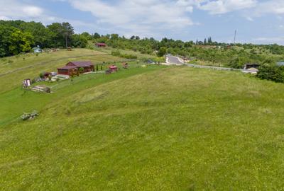 Teren cu potențial turistic în Vulcan BV– vedere panoramică - 20