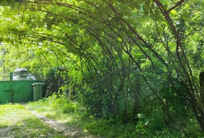 Vanzare casa Vanzare casa - 2